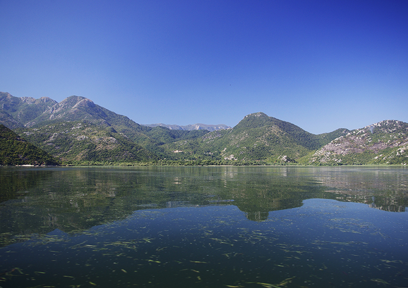 Скадарское озеро возле границы с Албанией.